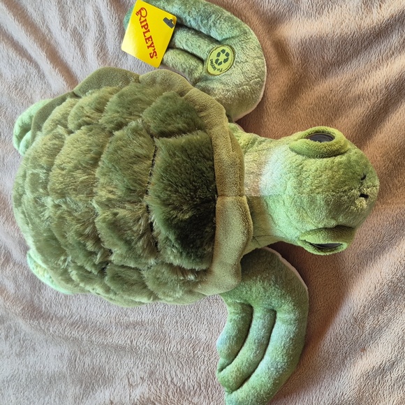 Green Turtle Plush Toy - Picture 2 of 4